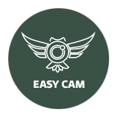 Easy cam облачное видеонаблюдение